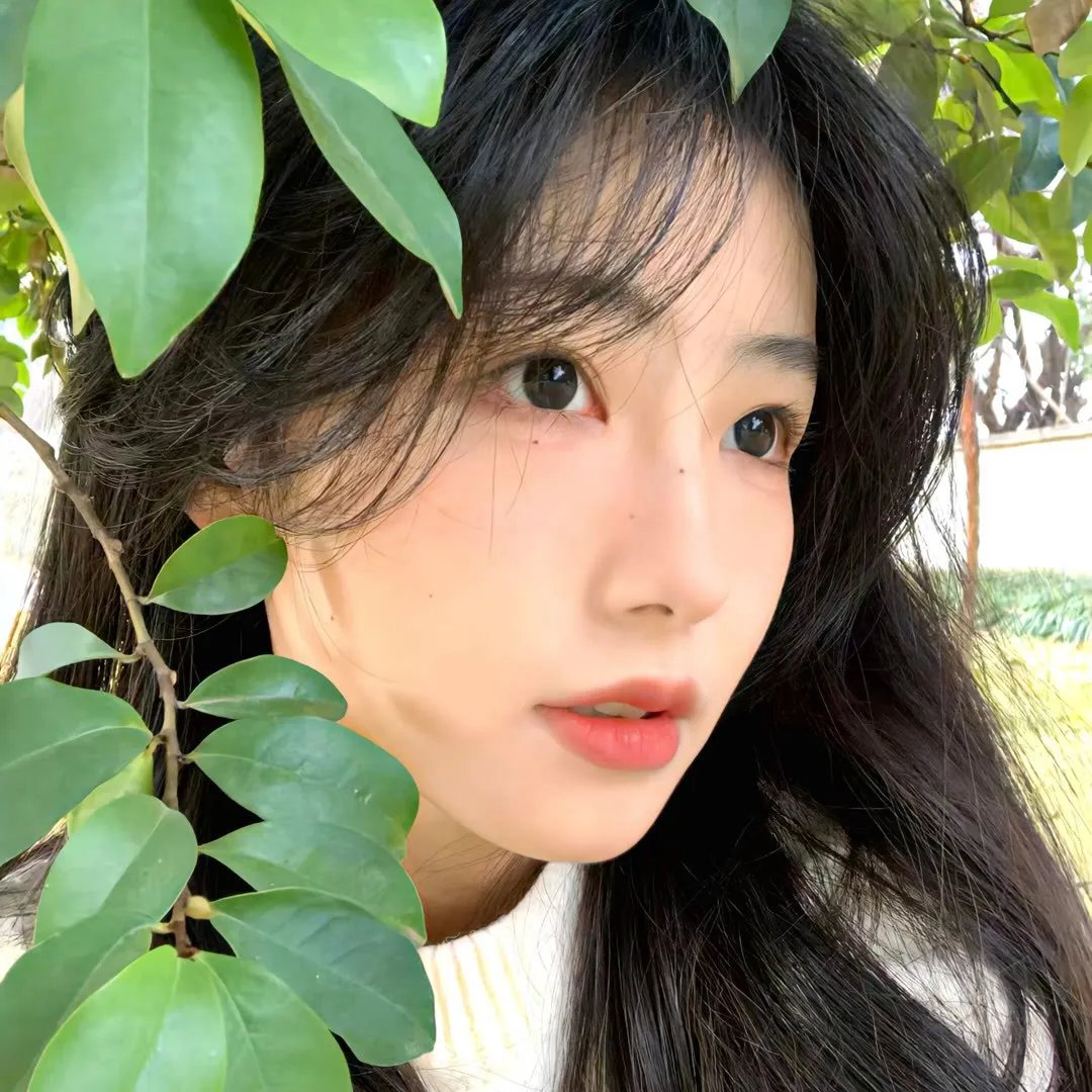 大学新生的秘密生活